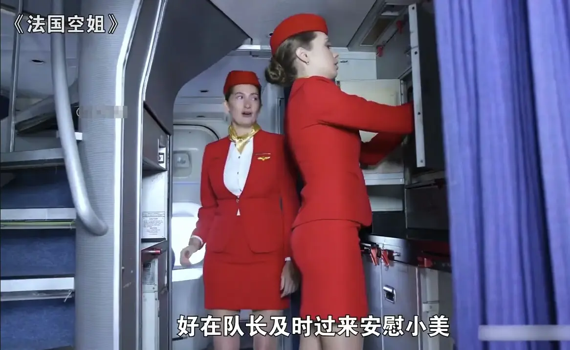 《法国空姐》完整版免费在线观看-法版满天星电影资源获取-720P高清画质播放-她曾以为自己是飞鸟却发现天空也有边界