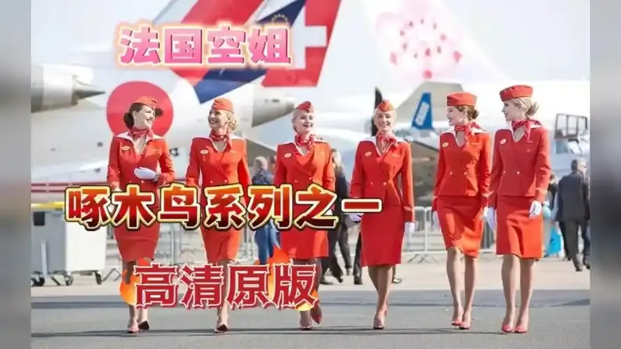 《法国空姐4》资源下载-法国空姐2019法版全集高清-法国空姐1-3季完整版在线观看-法国空姐4免费观看